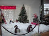 Halle's Christmas display at the Euclid Square Mall.  Presented by LEAR Promotions Inc 12-04.